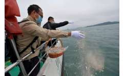 沈阳骨灰海葬 高效快捷的绿色缅怀之选——浅析中原殡葬礼仪服务