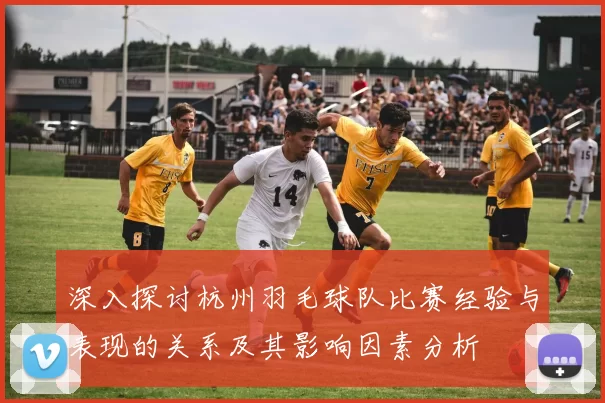 深入探讨杭州羽毛球队比赛经验与表现的关系及其影响因素分析