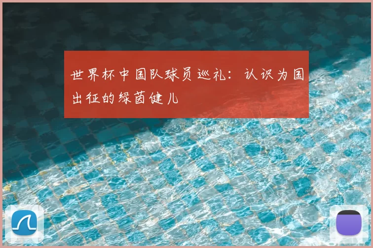 世界杯中国队球员巡礼：认识为国出征的绿茵健儿