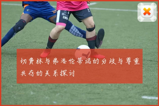 切费林与弗洛伦蒂诺的分歧与尊重共存的关系探讨