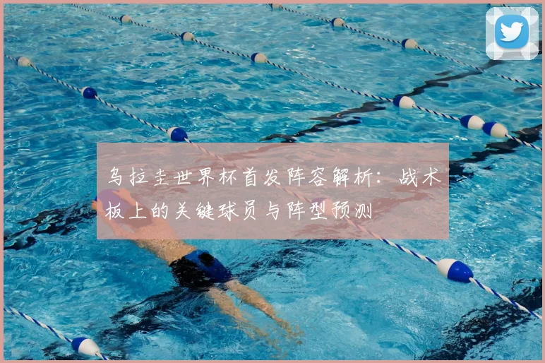 乌拉圭世界杯首发阵容解析：战术板上的关键球员与阵型预测