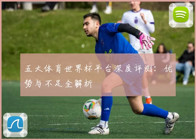五大体育世界杯平台深度评测：优势与不足全解析