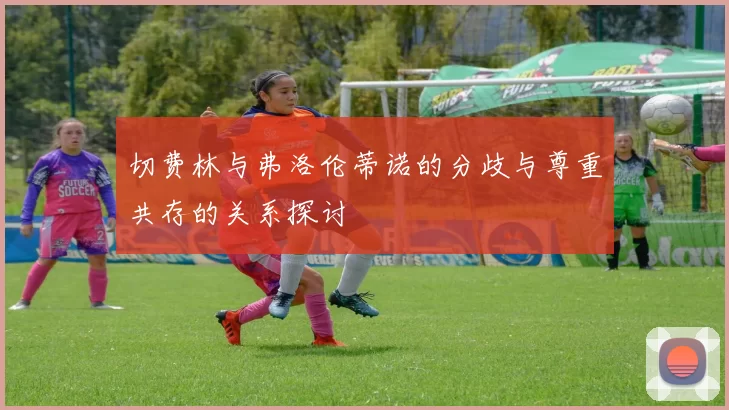 切费林与弗洛伦蒂诺的分歧与尊重共存的关系探讨