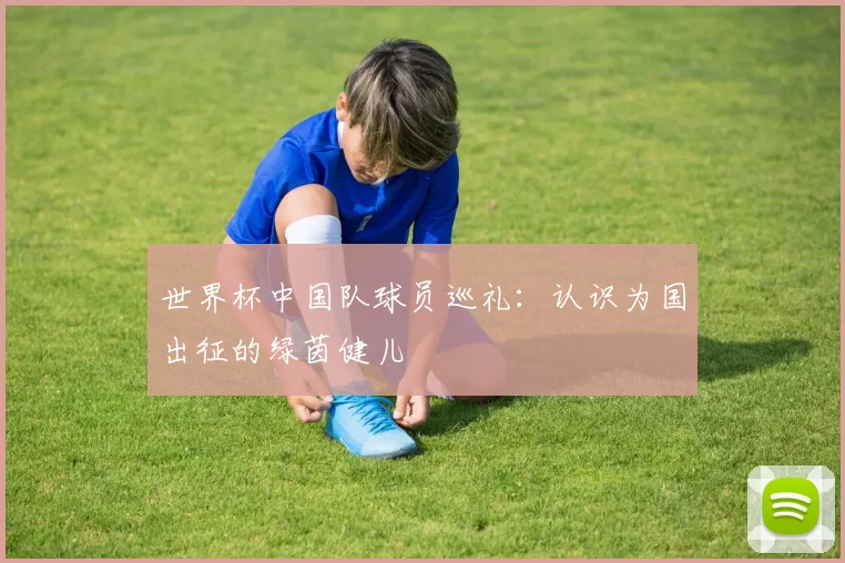 世界杯中国队球员巡礼：认识为国出征的绿茵健儿