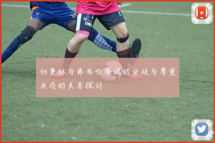 切费林与弗洛伦蒂诺的分歧与尊重共存的关系探讨