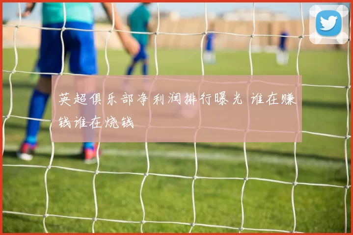 英超俱乐部净利润排行曝光 谁在赚钱谁在烧钱