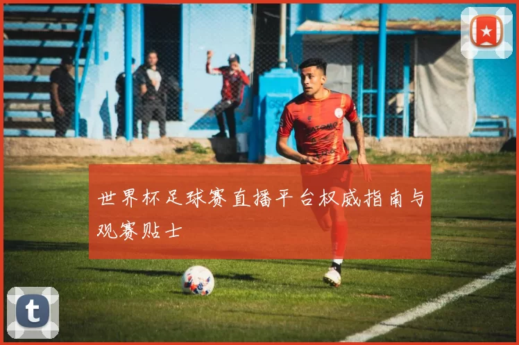 世界杯足球赛直播平台权威指南与观赛贴士