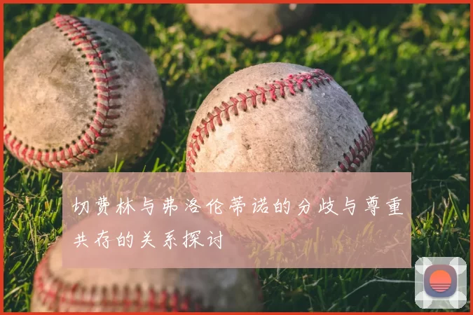 切费林与弗洛伦蒂诺的分歧与尊重共存的关系探讨