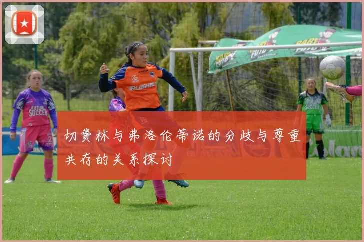 切费林与弗洛伦蒂诺的分歧与尊重共存的关系探讨