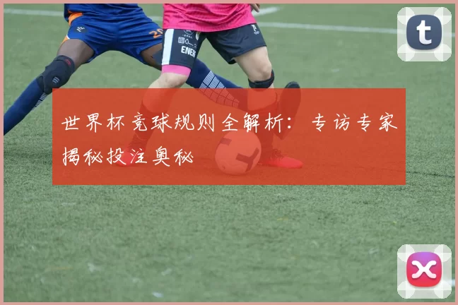 世界杯竞球规则全解析：专访专家揭秘投注奥秘