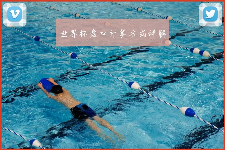 世界杯盘口计算方式详解