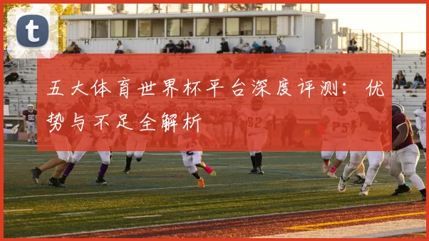 五大体育世界杯平台深度评测：优势与不足全解析