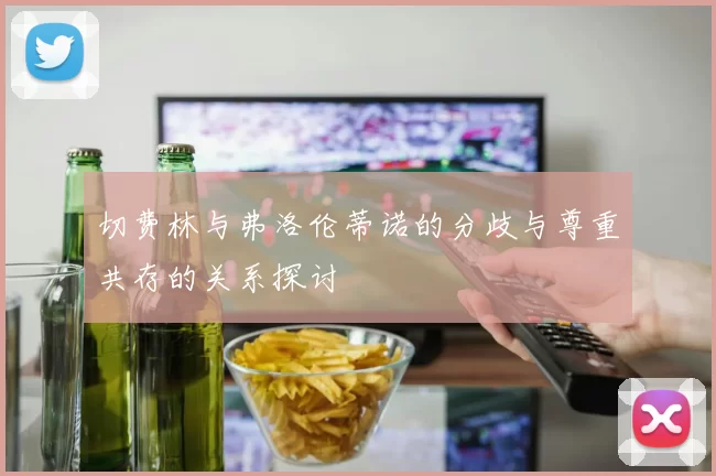 切费林与弗洛伦蒂诺的分歧与尊重共存的关系探讨