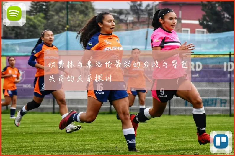 切费林与弗洛伦蒂诺的分歧与尊重共存的关系探讨