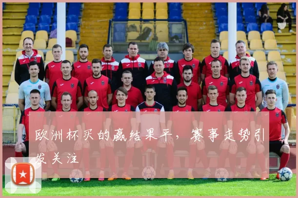 欧洲杯买的赢结果平，赛事走势引发关注