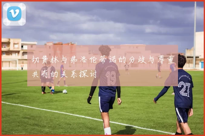 切费林与弗洛伦蒂诺的分歧与尊重共存的关系探讨